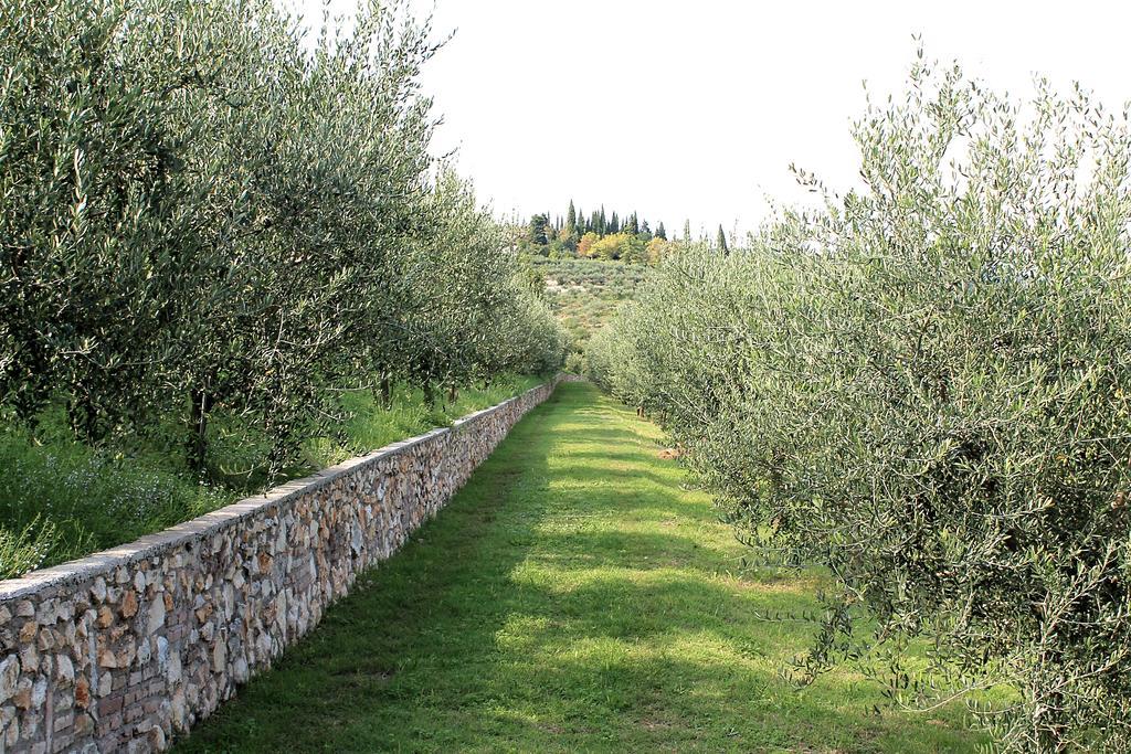 Ca' Dei Coci B&B San Martino Buon Albergo Eksteriør bilde