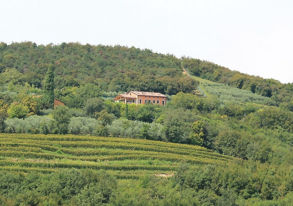 Ca' Dei Coci B&B San Martino Buon Albergo Eksteriør bilde