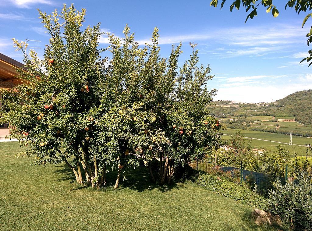 Ca' Dei Coci B&B San Martino Buon Albergo Eksteriør bilde