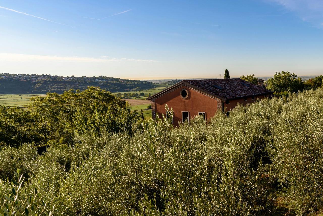 Ca' Dei Coci B&B San Martino Buon Albergo Eksteriør bilde